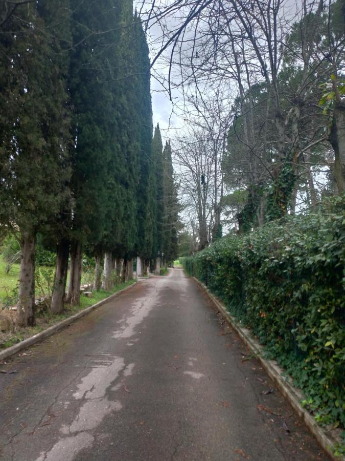Poggio Gherardo Appartamento *
